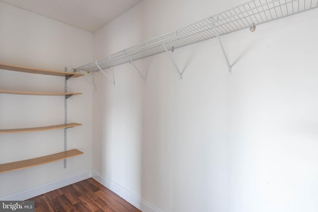 spacious closet featuring dark hardwood / wood-style floors