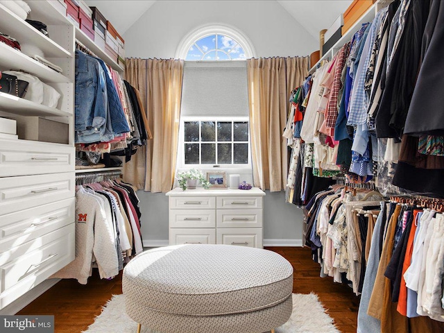 walk in closet featuring lofted ceiling and dark hardwood / wood-style floors