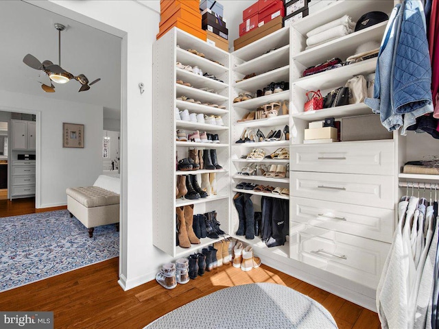 walk in closet featuring hardwood / wood-style flooring