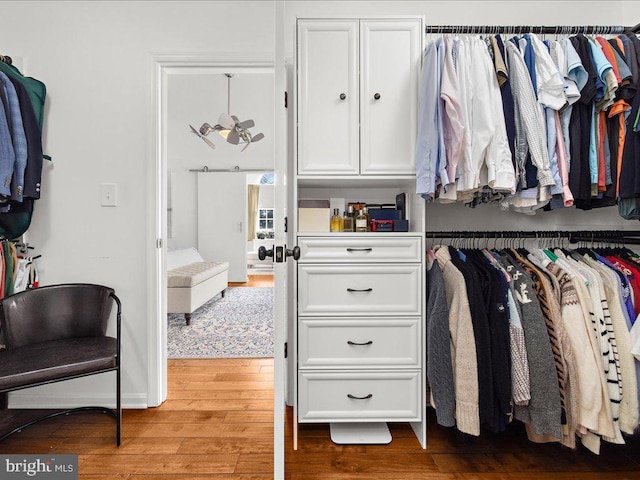 walk in closet with hardwood / wood-style flooring