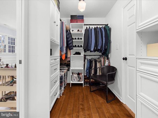 walk in closet featuring dark hardwood / wood-style flooring