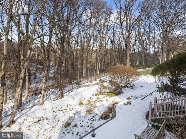 view of yard layered in snow