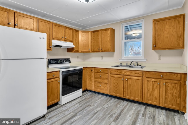 kitchen featuring light hardwood / wood-style floors, sink, electric range, and white fridge