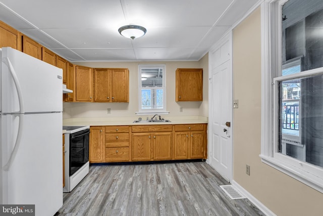 kitchen featuring light wood-type flooring, a wealth of natural light, sink, and white appliances