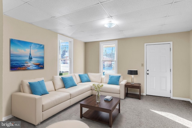 carpeted living room featuring a drop ceiling