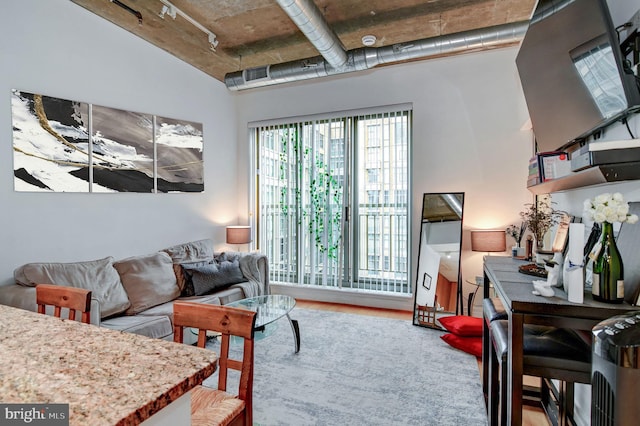 living room with track lighting and hardwood / wood-style floors