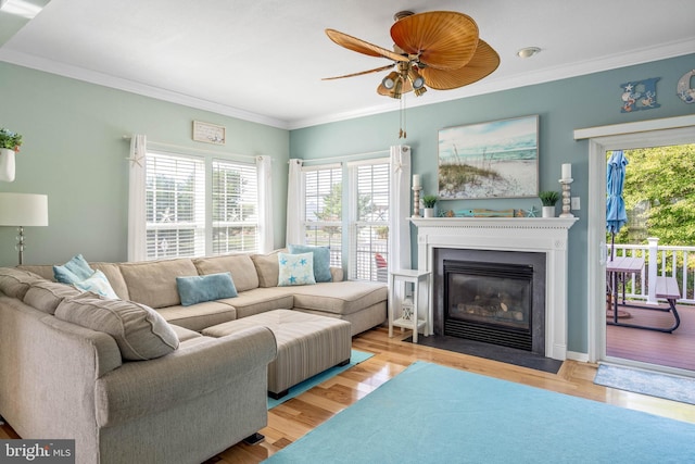 living room with ornamental molding, ceiling fan, and light wood-type flooring