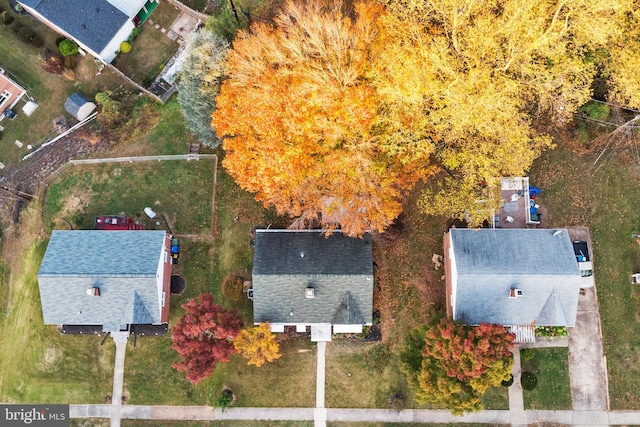 bird's eye view