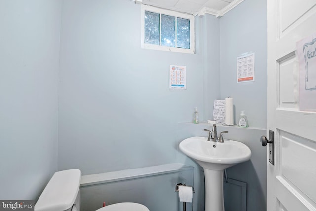 bathroom featuring toilet and crown molding