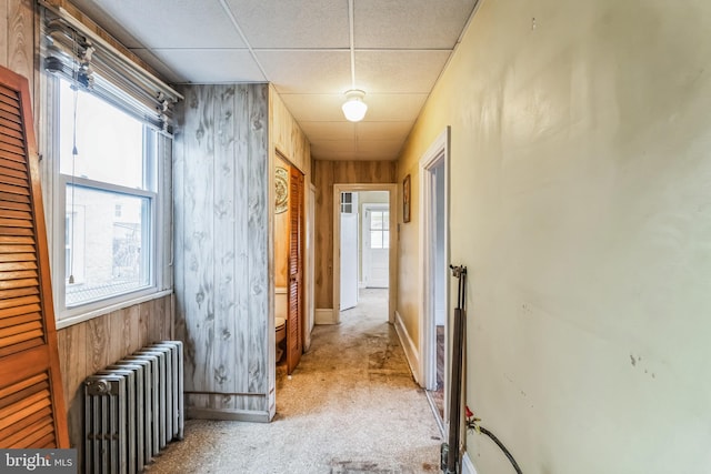 hallway featuring a drop ceiling, radiator, light carpet, and wooden walls