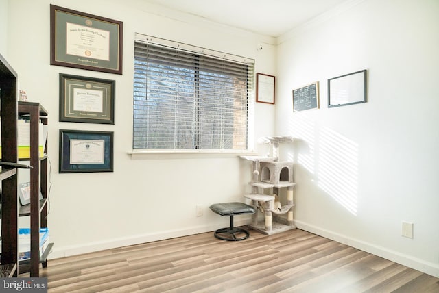 interior space with light wood-type flooring and crown molding