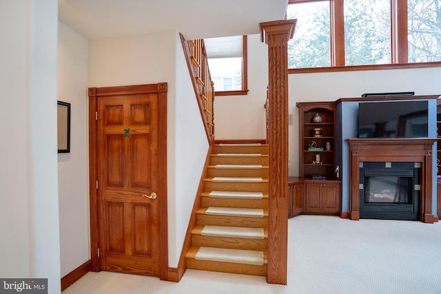 staircase with carpet flooring