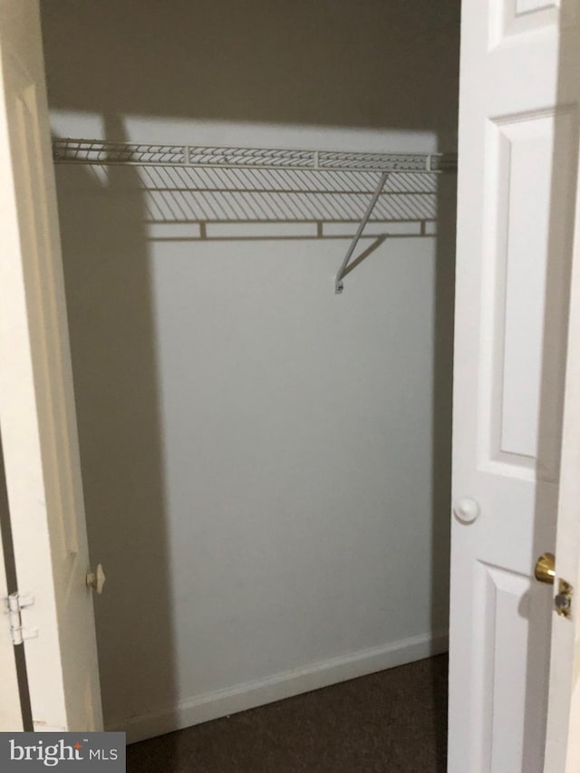 view of closet