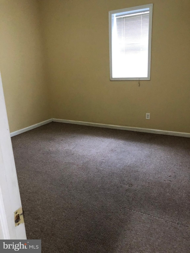 spare room with carpet