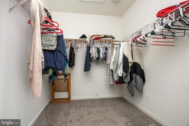 spacious closet with carpet