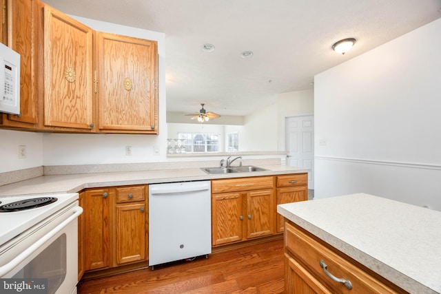 kitchen with dark wood-type flooring, white appliances, ceiling fan, and sink