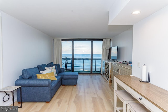 living room featuring a wall of windows and light hardwood / wood-style flooring