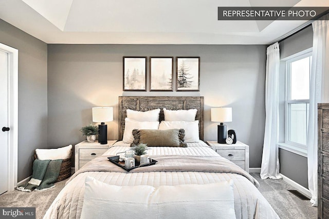 carpeted bedroom with a raised ceiling