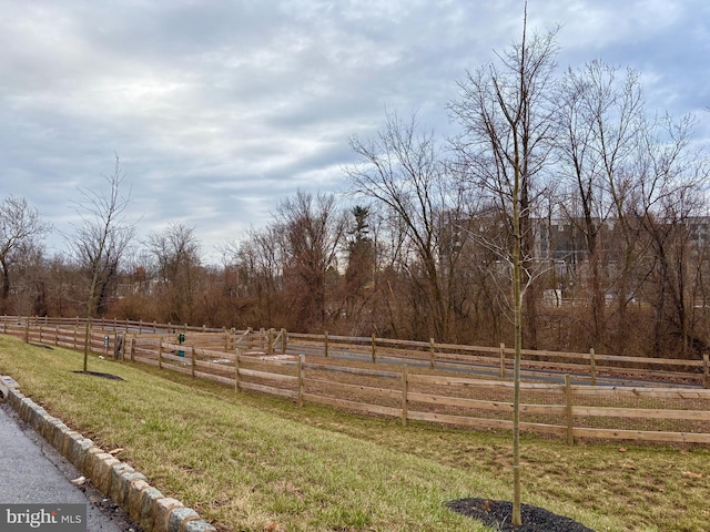 view of yard with a rural view