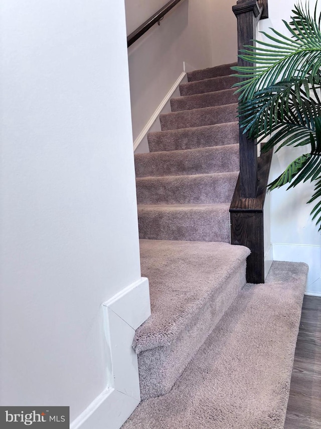 stairs with hardwood / wood-style floors