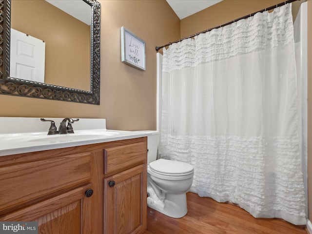 bathroom with vanity, wood-type flooring, and toilet