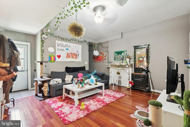 living room with ceiling fan and wood-type flooring