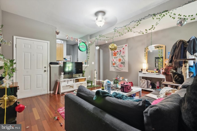 living room with ceiling fan and hardwood / wood-style flooring