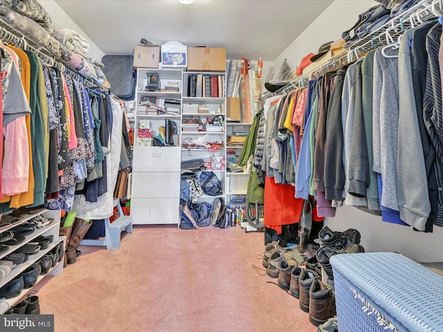 walk in closet with carpet flooring