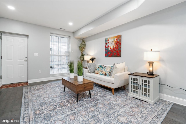 living room featuring hardwood / wood-style flooring