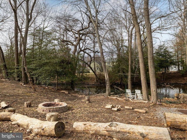 view of local wilderness featuring a water view