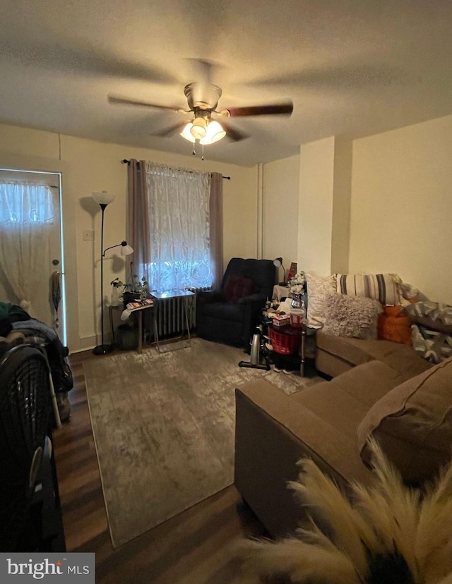 living room with ceiling fan, radiator heating unit, and hardwood / wood-style flooring