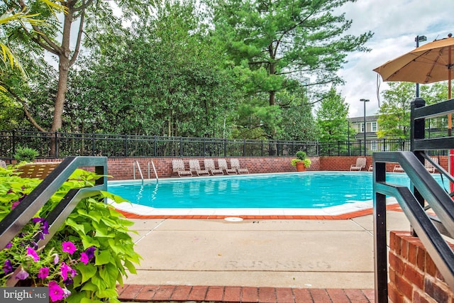 view of pool with a patio area