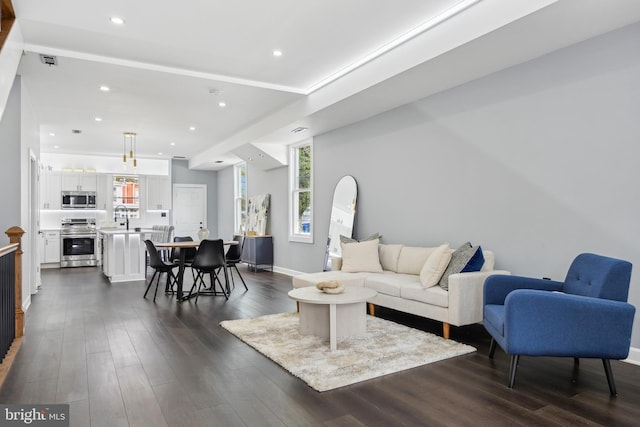 living room with dark hardwood / wood-style floors and sink