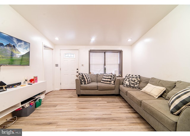 living room featuring light hardwood / wood-style flooring