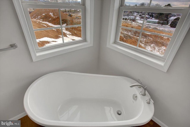 bathroom with a bathtub