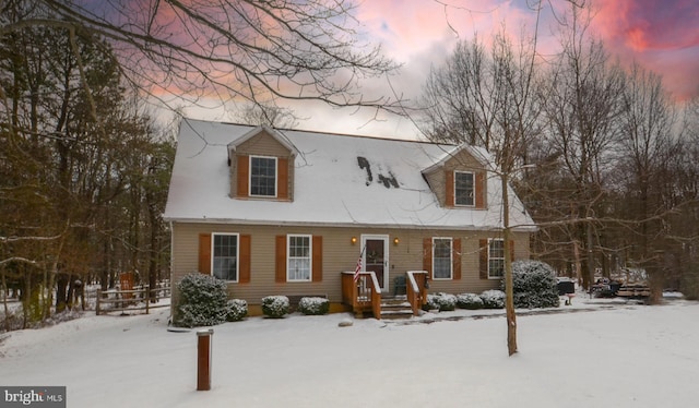 view of cape cod home