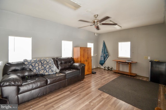 living room featuring ceiling fan and light hardwood / wood-style flooring