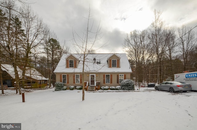 view of cape cod home