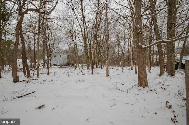 view of yard layered in snow