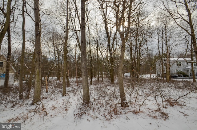 view of snowy landscape