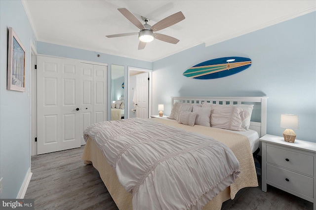 bedroom with ornamental molding, dark wood-type flooring, ceiling fan, and a closet