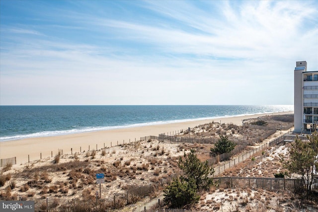 water view featuring a beach view