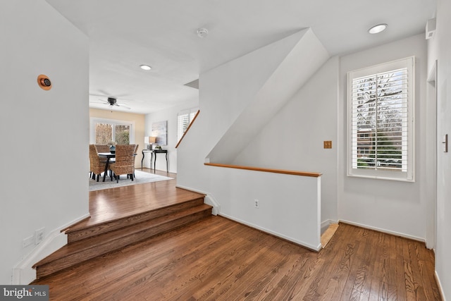 stairway with ceiling fan, plenty of natural light, and hardwood / wood-style floors