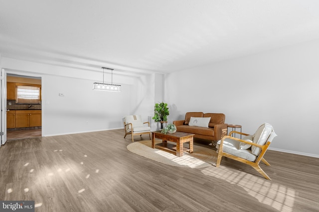 sitting room with wood-type flooring