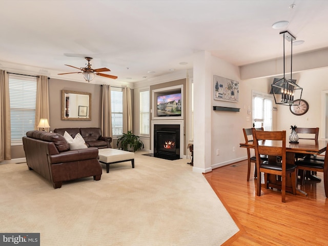 living room featuring ceiling fan with notable chandelier, a wealth of natural light, and light hardwood / wood-style floors