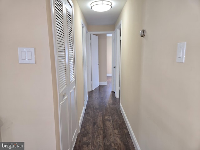 hall featuring dark wood-type flooring