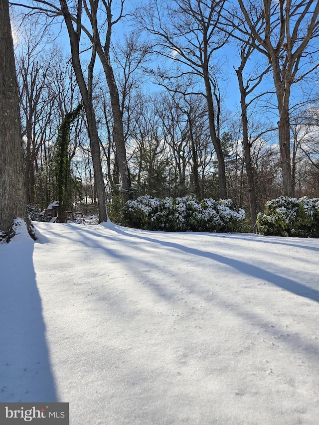 view of yard layered in snow