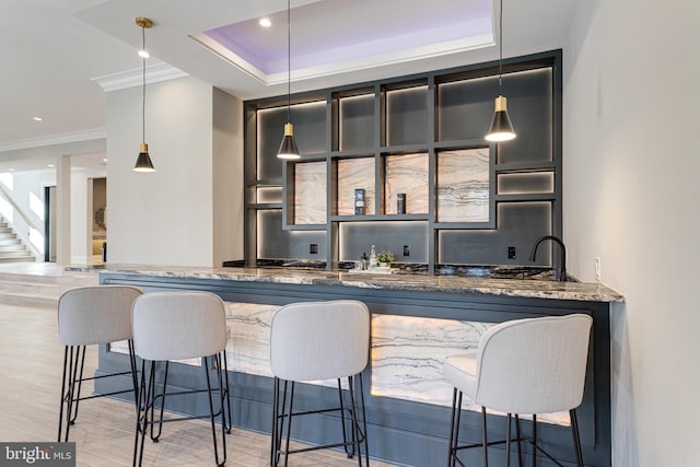 bar with indoor wet bar, crown molding, and a tray ceiling