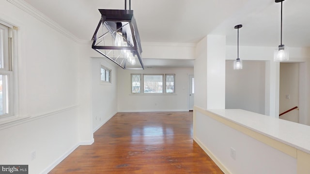 unfurnished dining area with dark wood-type flooring and crown molding