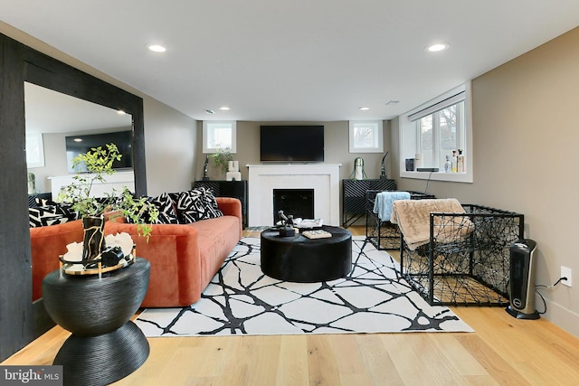 living room with a wealth of natural light and light wood-type flooring